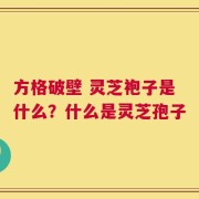 方格破壁 灵芝袍子是什么？什么是灵芝孢子