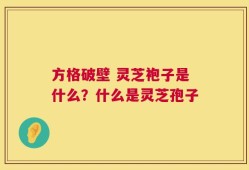 方格破壁 灵芝袍子是什么？什么是灵芝孢子