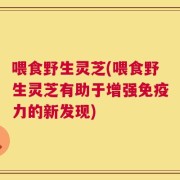 喂食野生灵芝(喂食野生灵芝有助于增强免疫力的新发现)