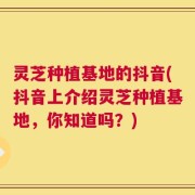 灵芝种植基地的抖音(抖音上介绍灵芝种植基地，你知道吗？)