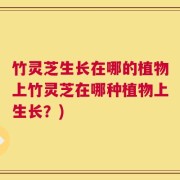 竹灵芝生长在哪的植物上竹灵芝在哪种植物上生长？)