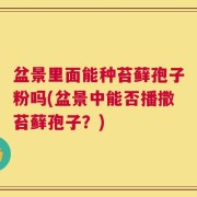 盆景里面能种苔藓孢子粉吗(盆景中能否播撒苔藓孢子？)