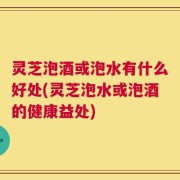 灵芝泡酒或泡水有什么好处(灵芝泡水或泡酒的健康益处)