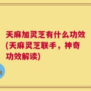 天麻加灵芝有什么功效(天麻灵芝联手，神奇功效解读)