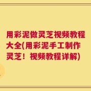 用彩泥做灵芝视频教程大全(用彩泥手工制作灵芝！视频教程详解)