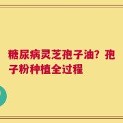 糖尿病灵芝孢子油？孢子粉种植全过程