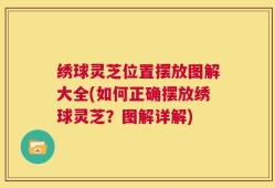 绣球灵芝位置摆放图解大全(如何正确摆放绣球灵芝？图解详解)