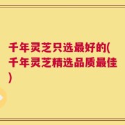 千年灵芝只选最好的(千年灵芝精选品质最佳)