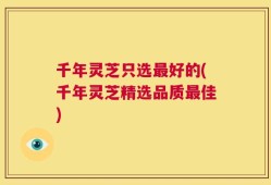 千年灵芝只选最好的(千年灵芝精选品质最佳)