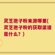 灵芝孢子粉来源哪里(灵芝孢子粉的获取渠道是什么？)