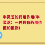 半灵芝的药用作用(半灵芝：一种具有药用价值的植物)