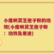小度啊灵芝孢子粉的功效(小度啊灵芝孢子粉：功效及用途)
