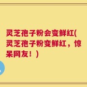 灵芝孢子粉会变鲜红(灵芝孢子粉变鲜红，惊呆网友！)