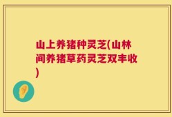 山上养猪种灵芝(山林间养猪草药灵芝双丰收)