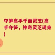 夺笋高手千面灵芝(高手夺笋，神奇灵芝现身)