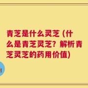 青芝是什么灵芝 (什么是青芝灵芝？解析青芝灵芝的药用价值)