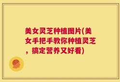 美女灵芝种植图片(美女手把手教你种植灵芝，搞定营养又好看)