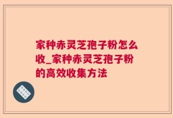 家种赤灵芝孢子粉怎么收_家种赤灵芝孢子粉的高效收集方法