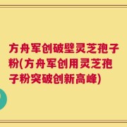 方舟军创破壁灵芝孢子粉(方舟军创用灵芝孢子粉突破创新高峰)