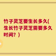 竹子灵芝要生长多久(生长竹子灵芝需要多久时间？)