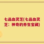七品血灵芝(七品血灵芝：神奇的养生宝藏)