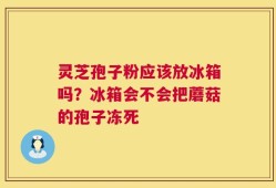灵芝孢子粉应该放冰箱吗？冰箱会不会把蘑菇的孢子冻死