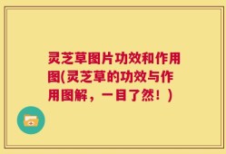 灵芝草图片功效和作用图(灵芝草的功效与作用图解，一目了然！)