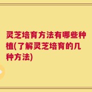 灵芝培育方法有哪些种植(了解灵芝培育的几种方法)