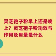 灵芝孢子粉早上还是晚上？灵芝孢子粉功效与作用及用量是什么