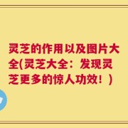 灵芝的作用以及图片大全(灵芝大全：发现灵芝更多的惊人功效！)
