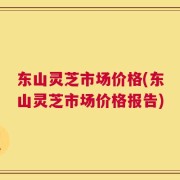 东山灵芝市场价格(东山灵芝市场价格报告)
