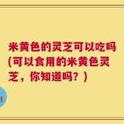 米黄色的灵芝可以吃吗(可以食用的米黄色灵芝，你知道吗？)