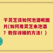 干灵芝该如何泡酒呢图片(如何用灵芝来泡酒？教你详细的方法！)