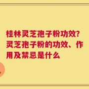 桂林灵芝孢子粉功效？灵芝孢子粉的功效、作用及禁忌是什么