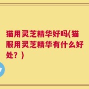 猫用灵芝精华好吗(猫服用灵芝精华有什么好处？)