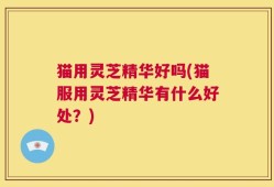 猫用灵芝精华好吗(猫服用灵芝精华有什么好处？)
