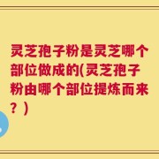 灵芝孢子粉是灵芝哪个部位做成的(灵芝孢子粉由哪个部位提炼而来？)