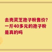 去壳灵芝孢子粉售价？一斤40多元的孢子粉是真的吗