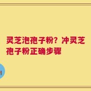 灵芝泡孢子粉？冲灵芝孢子粉正确步骤