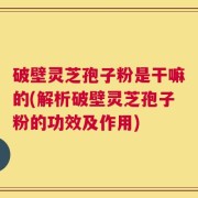 破壁灵芝孢子粉是干嘛的(解析破壁灵芝孢子粉的功效及作用)
