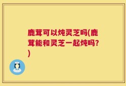 鹿茸可以炖灵芝吗(鹿茸能和灵芝一起炖吗？)