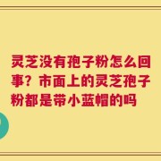灵芝没有孢子粉怎么回事？市面上的灵芝孢子粉都是带小蓝帽的吗
