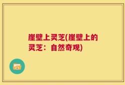 崖壁上灵芝(崖壁上的灵芝：自然奇观)