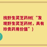 找野生灵芝药材(“发现野生灵芝药材，具有珍贵药用价值”)