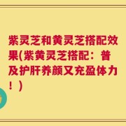 紫灵芝和黄灵芝搭配效果(紫黄灵芝搭配：普及护肝养颜又充盈体力！)