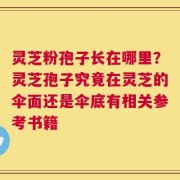 灵芝粉孢子长在哪里？灵芝孢子究竟在灵芝的伞面还是伞底有相关参考书籍