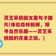 灵芝采摘园文案句子图片(体验森林新鲜，探寻自然乐趣——灵芝采摘园的完美之旅。)