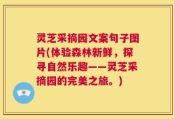 灵芝采摘园文案句子图片(体验森林新鲜，探寻自然乐趣——灵芝采摘园的完美之旅。)