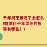 千年灵芝被吃了会怎么样(食用千年灵芝的危害有哪些？)