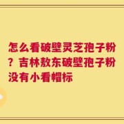 怎么看破壁灵芝孢子粉？吉林敖东破壁孢子粉没有小看帽标